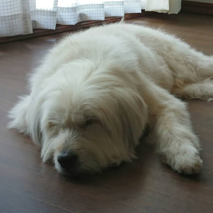 09eb07b2 042f 4b33 8b6a 09055d8ca0a7