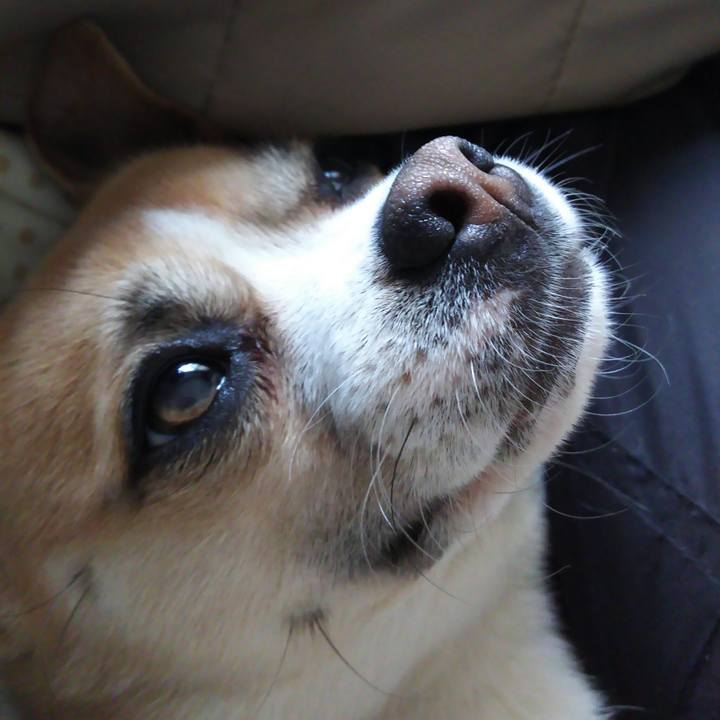 09eb18a2 40d7 4087 a86c c1f64d57c631