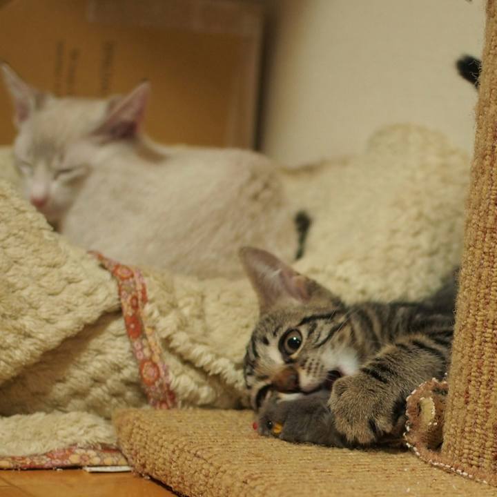 09eb3f89 dc53 4b7c 92d3 8e1d1845f579