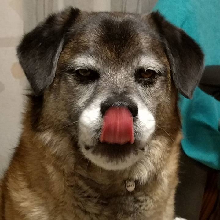 09eb783b 46f7 4810 abb6 6e7ae5dd992c