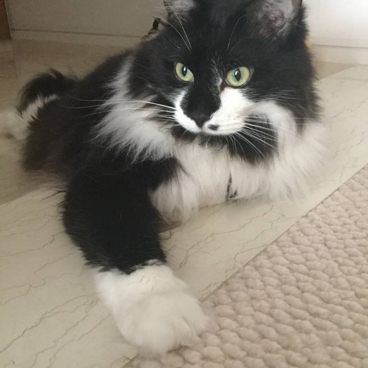 09eb8fee 848d 4b62 a779 4d930b75469d