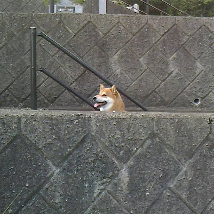 09ecec09 1706 431f 926f b8ff59d77d55