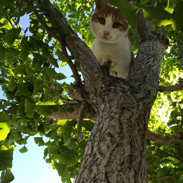 09ed65e6 a6a0 4a0c 8dd4 d5c0cc7b14ec