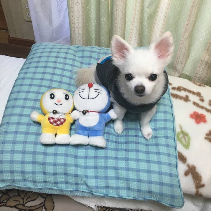 09ee0270 0cd9 4abb be11 87547f2b6a99