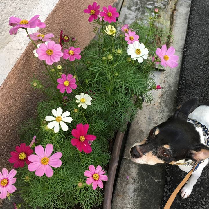 09ee2d1a 65a1 4c2f af3a ad9c498f7eaf