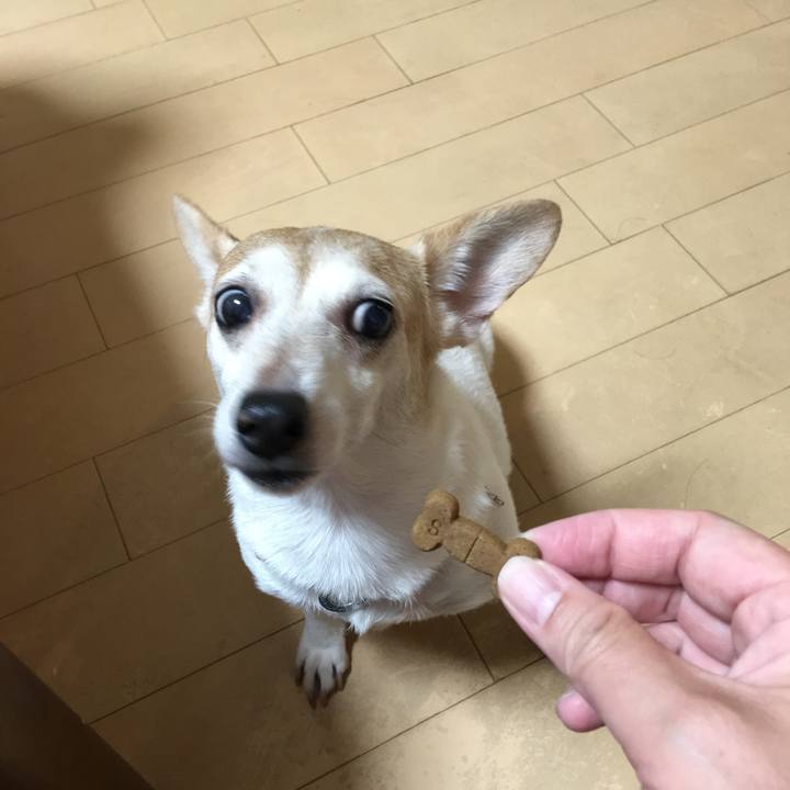 09eec620 257b 4a96 bb81 305983c08405