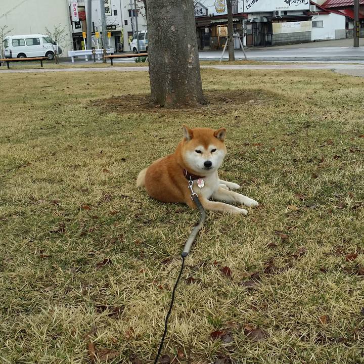 09efca03 ab4e 4ce2 8050 b3ca15e1dea3