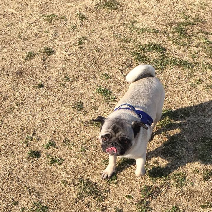 09f01596 c04a 4ad1 87ab 9a786d9f2d27