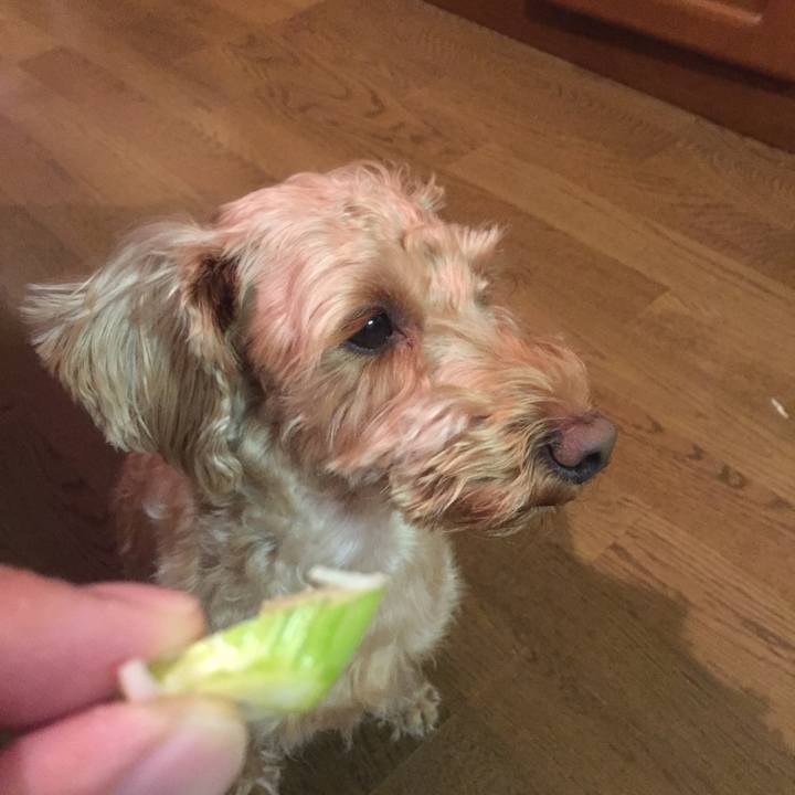 09f1181f 1a64 4b76 b1f6 1de29da38dc9