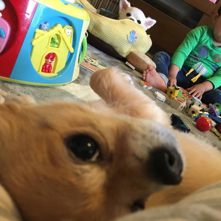 09f1507a 1e46 46f4 a0e6 36871fb0fe17