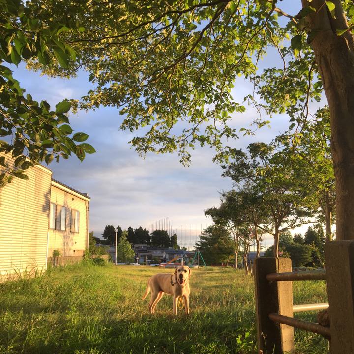 09f165c5 1522 4f16 b066 9f4929625a17