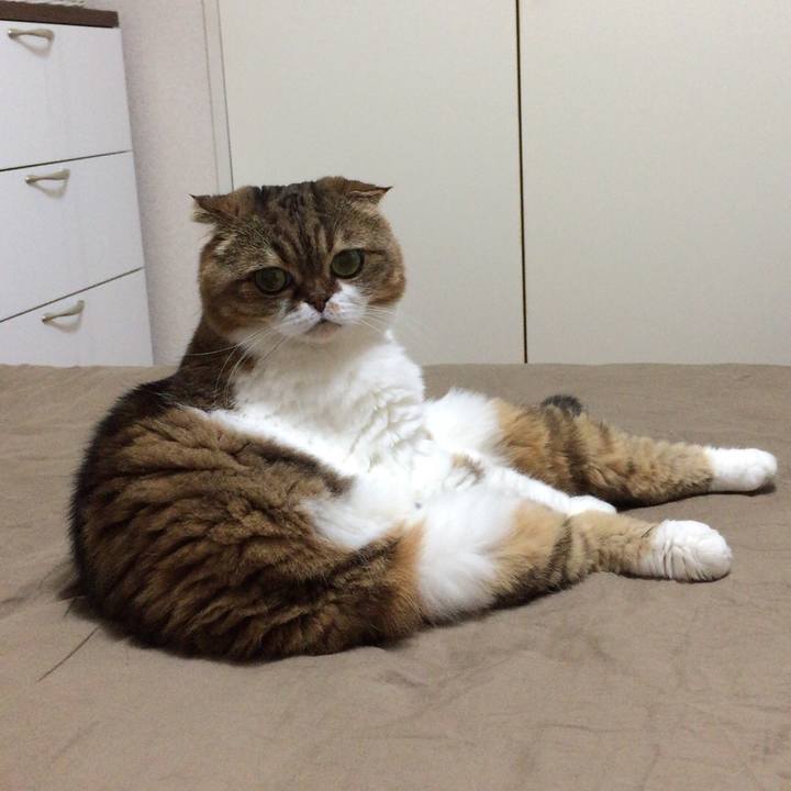 09f19b16 cdd6 4247 9e4a b3fc8b0fc6cf