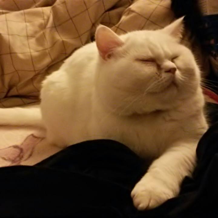 09f1ba64 d698 4dda 8e69 e36989ebf5bc