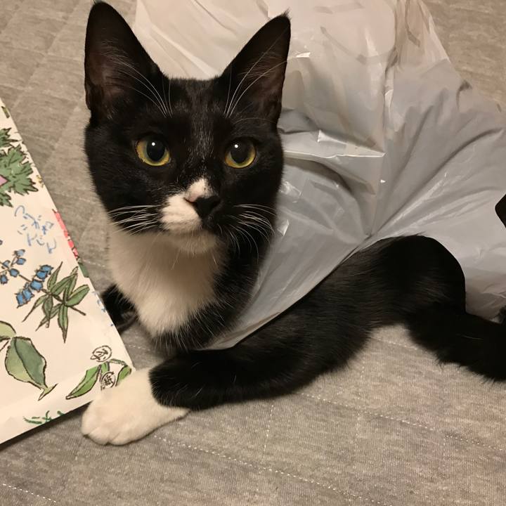 09f2249e a684 4fe0 bc85 760ff8cb7851