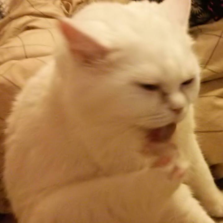 09f23ca5 a8cc 458b 9598 bbc057f10a56