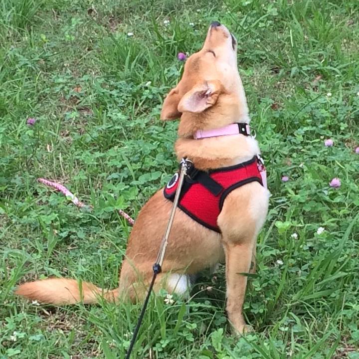 09f252bd 7b90 447c 8aca 45dd677696c6