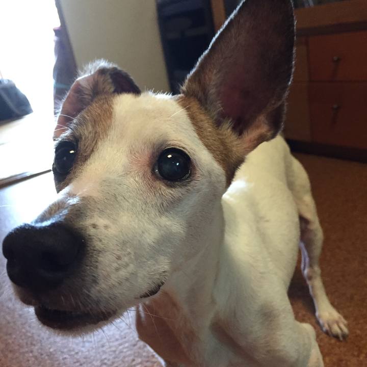 09f338c4 714f 4fe6 b51e 9936df9976aa