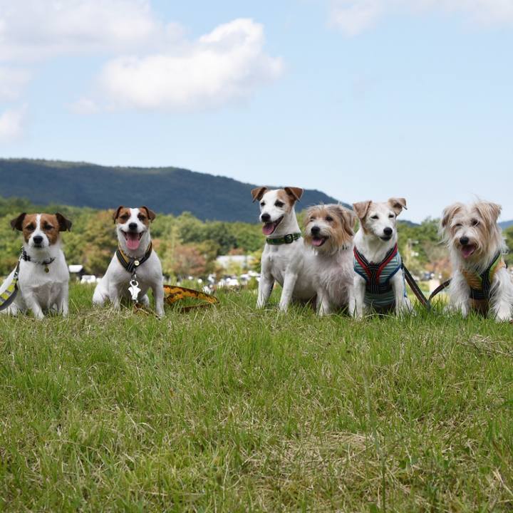 09f39e9a 003f 4e94 839d ee82dfd9547b