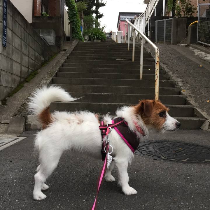 09f3b10a 1f0b 4af6 ba54 2270eed5316e