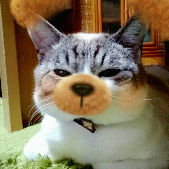 09f4f311 80a3 4594 81dd 3519d74bf4b7