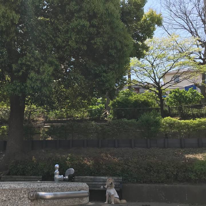 09f56429 aeb6 4458 a57d 1c573cbf6f56