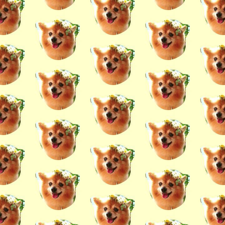 09f6ca13 375b 4c23 9a8f 732c80c5400e