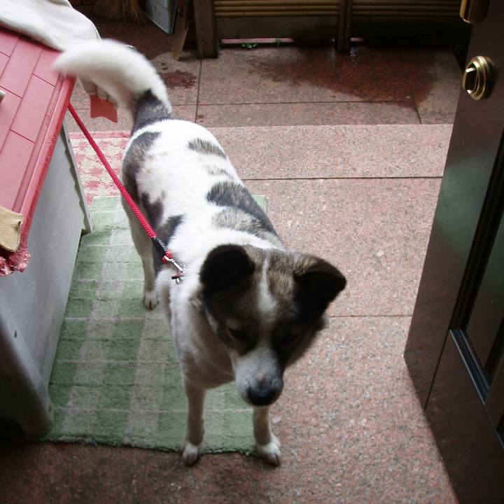 09f6e071 78df 4b17 a6b8 9ef5c25a1183