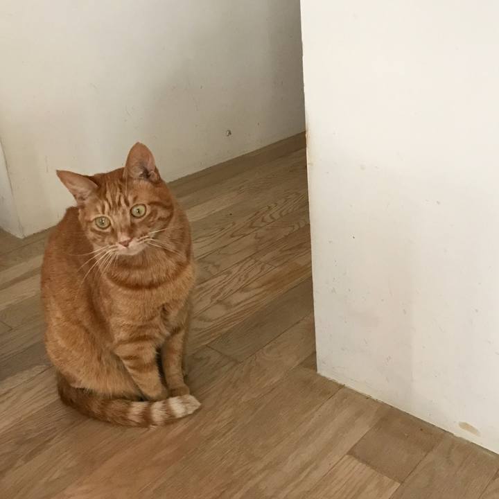 09f6e8b0 04fa 4eec 9e0a f6e25fadef55