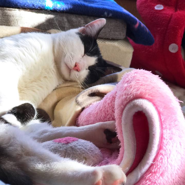 09f7a23e 60a5 4be6 96a7 b37ea134ec5a