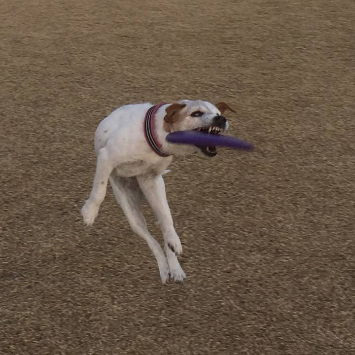 09f7b04c 2695 4e1f b6ae eb757a277309