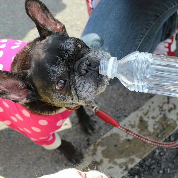 09f7c8bf d64f 4b82 b777 ddfc24938b0b