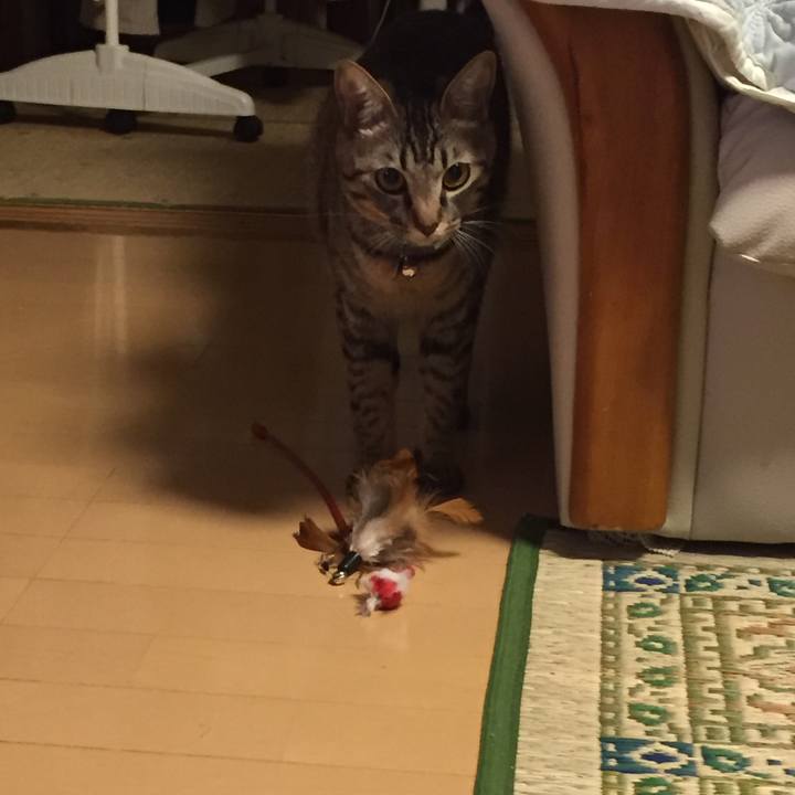 09f7daf7 5305 4157 8f36 ec19cd7805a3