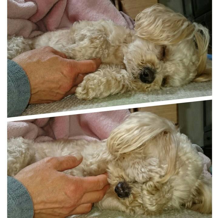 09f8808b 7a4c 4a51 9265 de8d46fe70d0