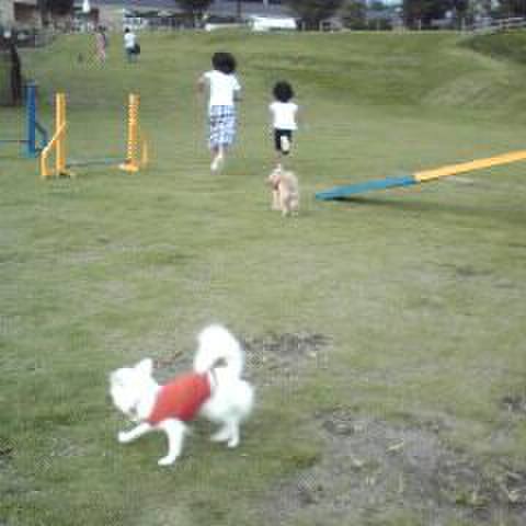 09f89e91 f022 4963 b4ac 72bae6d19165