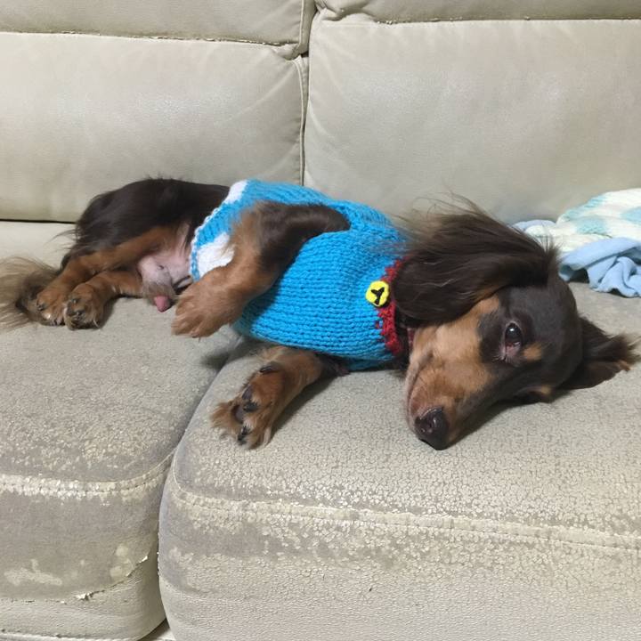 09f9354c 4288 4056 9248 3c0b77266bff