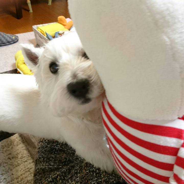 09f97dc0 0545 4b5b 85c9 e2fec0064da2