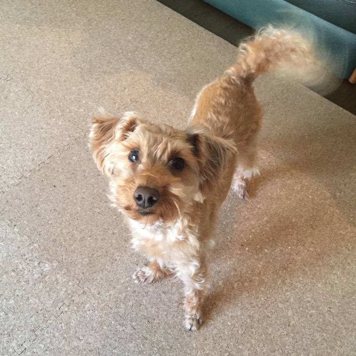 09fa170c 9839 4aa1 b117 089cefdd3bcc