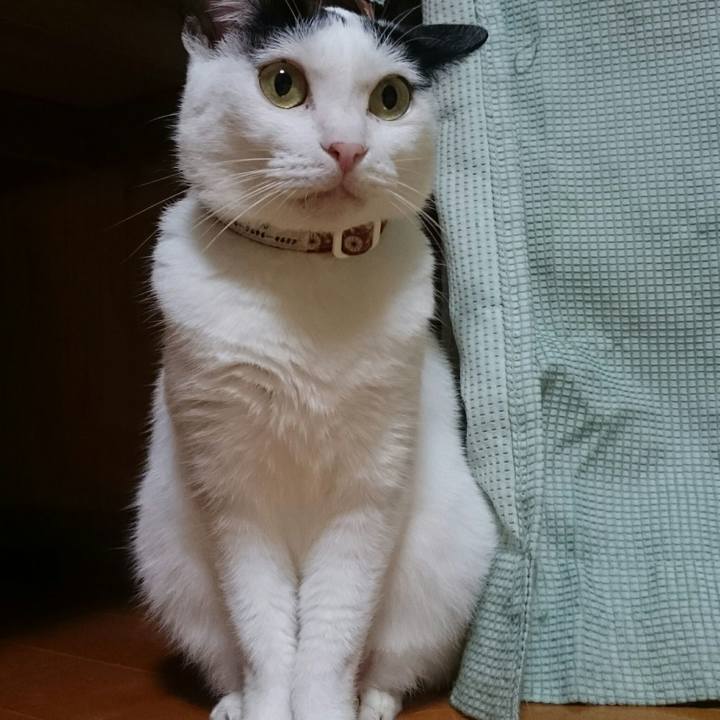 09fa2fad 9d7c 4629 9766 fc7f473b7155