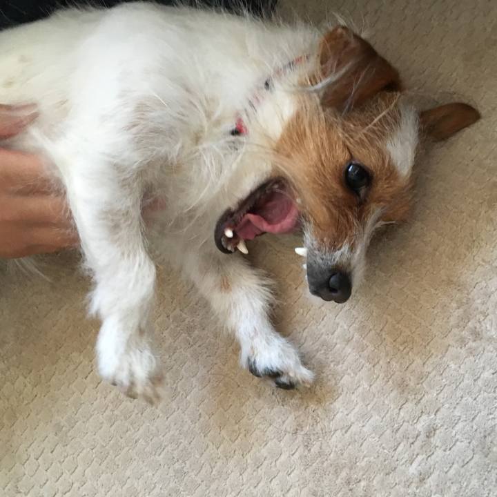 09faa58b 6483 4fb8 a749 3f88a1df71e1