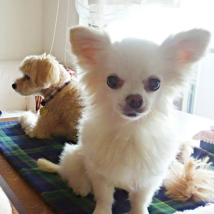 09faaeb7 f238 4c1b 9e69 22aad58c8e13