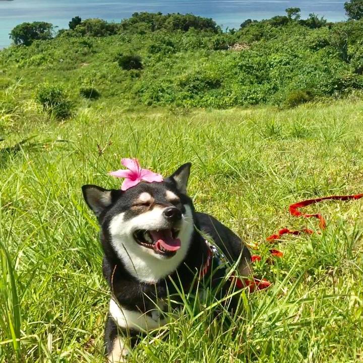 09fac95f f872 4305 8c48 eed7f916a087