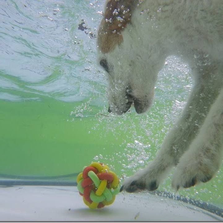 09fad9b5 7120 4061 9338 9ea7935be620