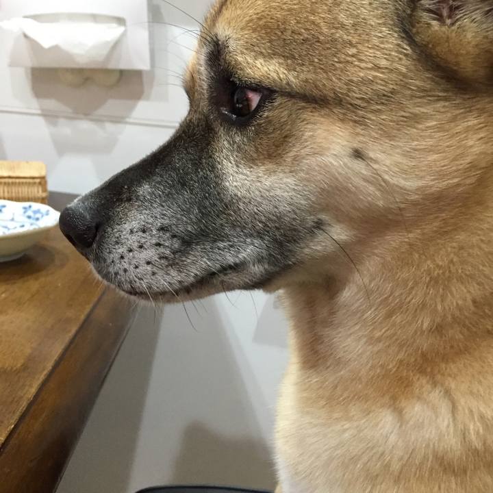 09fbfb61 e25c 4aca 8e89 833e2915437c