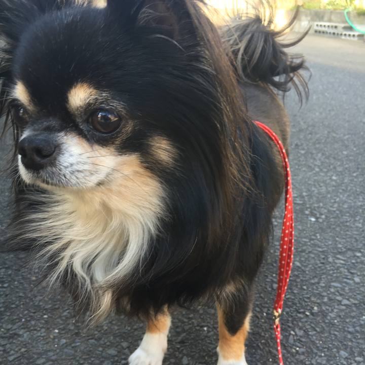 09fc023e c252 4fd3 b55a 6b4e762c477e