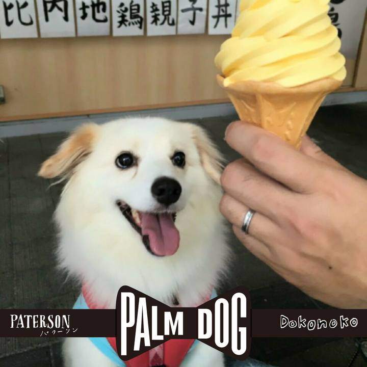 09fc6fc4 e942 465d b551 b42a8f5b80da