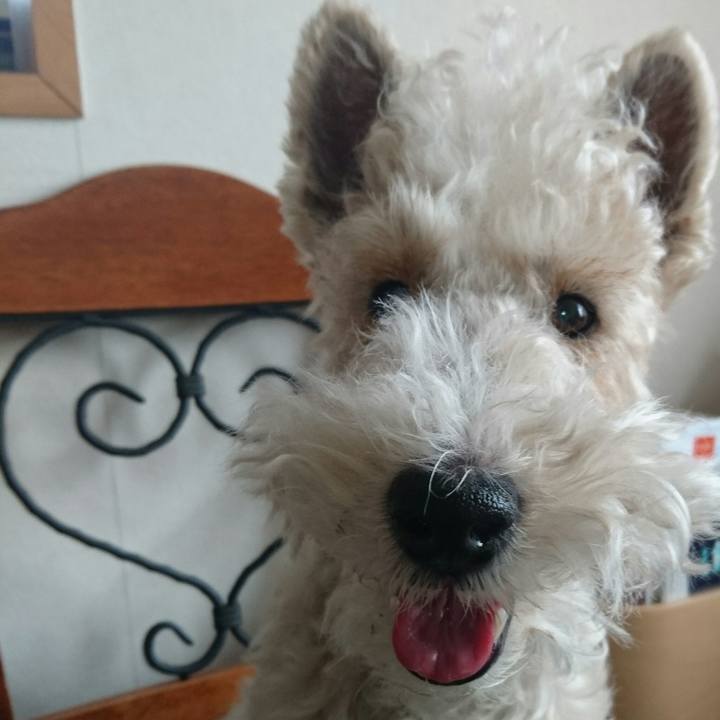 09fcc3b7 4f46 44b8 b879 ad8cdaa4910a