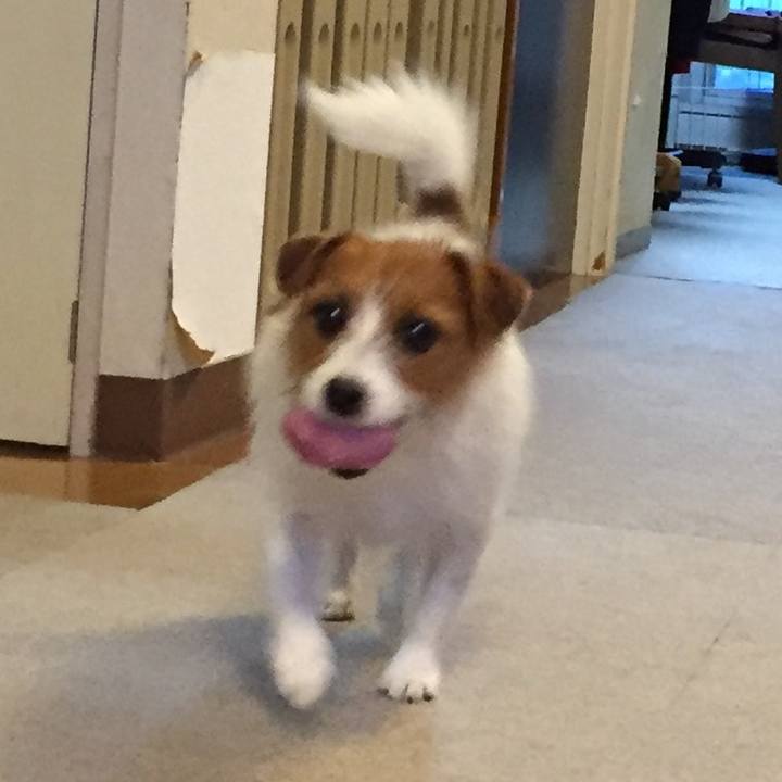 09fd3692 6a1a 4247 b1d3 ca236f9a5bd5