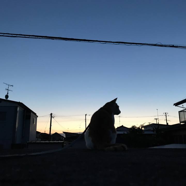 09fe1a26 6012 48ec 85b9 ec276e2b0ffa