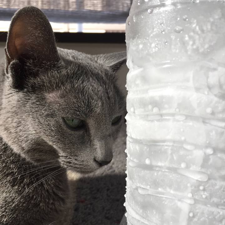 09fe2dcd 194c 4180 9eb8 3af34b5a7ed5