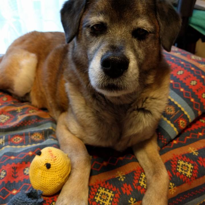 09feb4e6 4b7f 4648 bf16 60b73be6c986